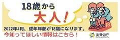 消費者庁ＨＰ「18歳から大人」特設ページ